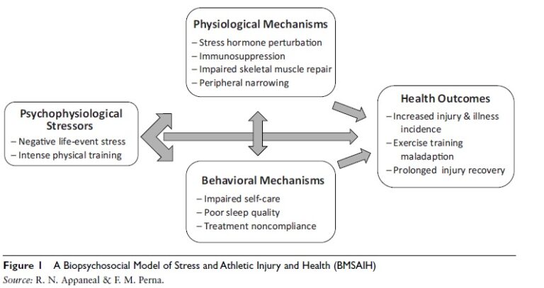 Biopsychosocial Model Of  Injury