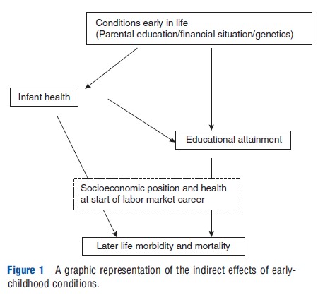 Health at Advanced Ages – Health Economics – iResearchNet