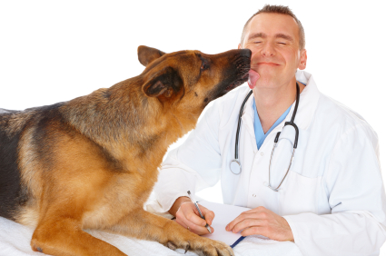 Veterinarian Career