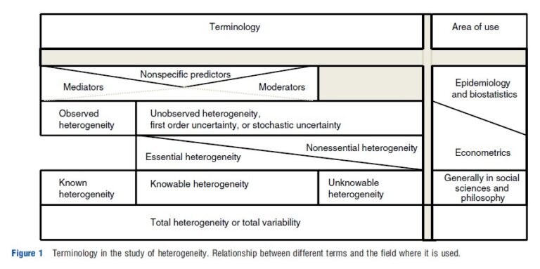 Heterogeneity for Decision Making – Health Economics – iResearchNet