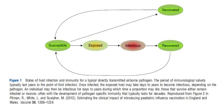 Infectious Disease Modeling – Health Economics – iResearchNet