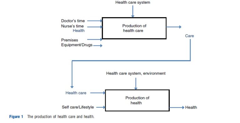 Evaluating Efficiency of a Health Care System – iResearchNet