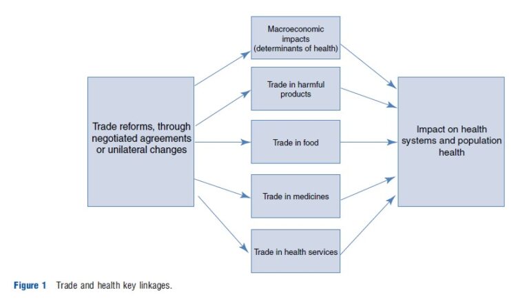 International Trade in Health Services – Health Economics – iResearchNet