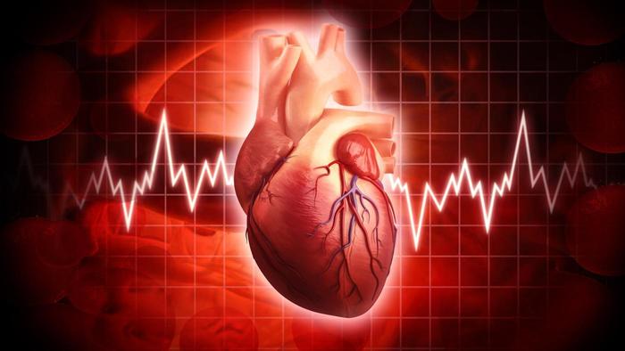 Understanding Heart Rate Assessments – Cardio Fitness Education – Lifestyle