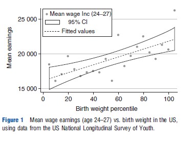 Fetal Origins of Lifetime Health – Health Economics – iResearchNet