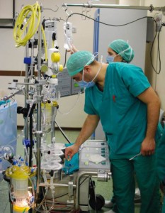 Perfusionist Career