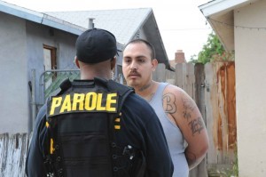 Parole Officer Career