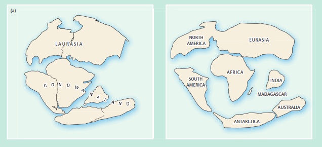 Continental Drift