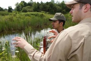 Naturalist Career