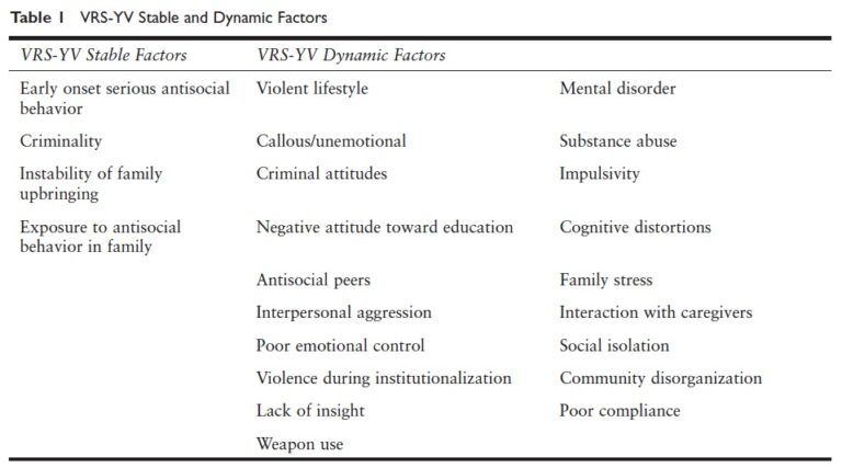 Violence Risk Scale–Youth Version (VRS-YV)