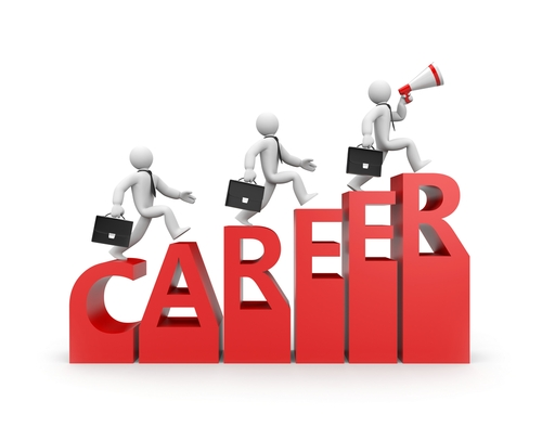 Organizational Career Management