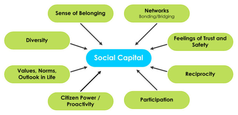 Social Capital