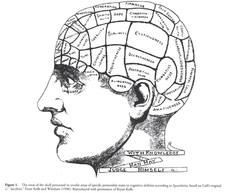 Neuropsychology ⋆ Health Psychology ⋆ Lifestyle