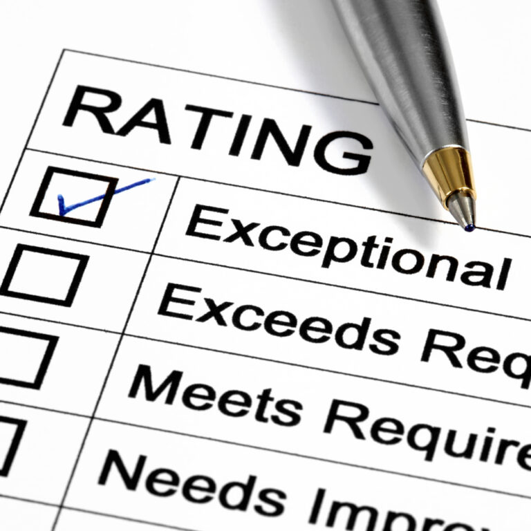 Rater Errors in Performance Appraisal