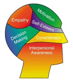 Emotional Intelligence