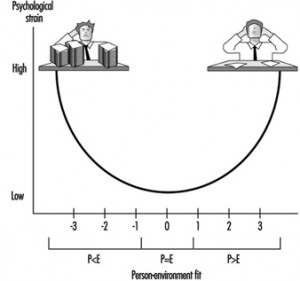 Person-Environment Fit (P-E Fit)